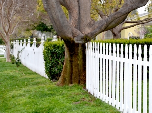 Photo by Kelly Yeld via Stock.xchng