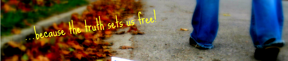 Lisa Hall-Wilson - Freelance Writer – Blogging Through The Fire